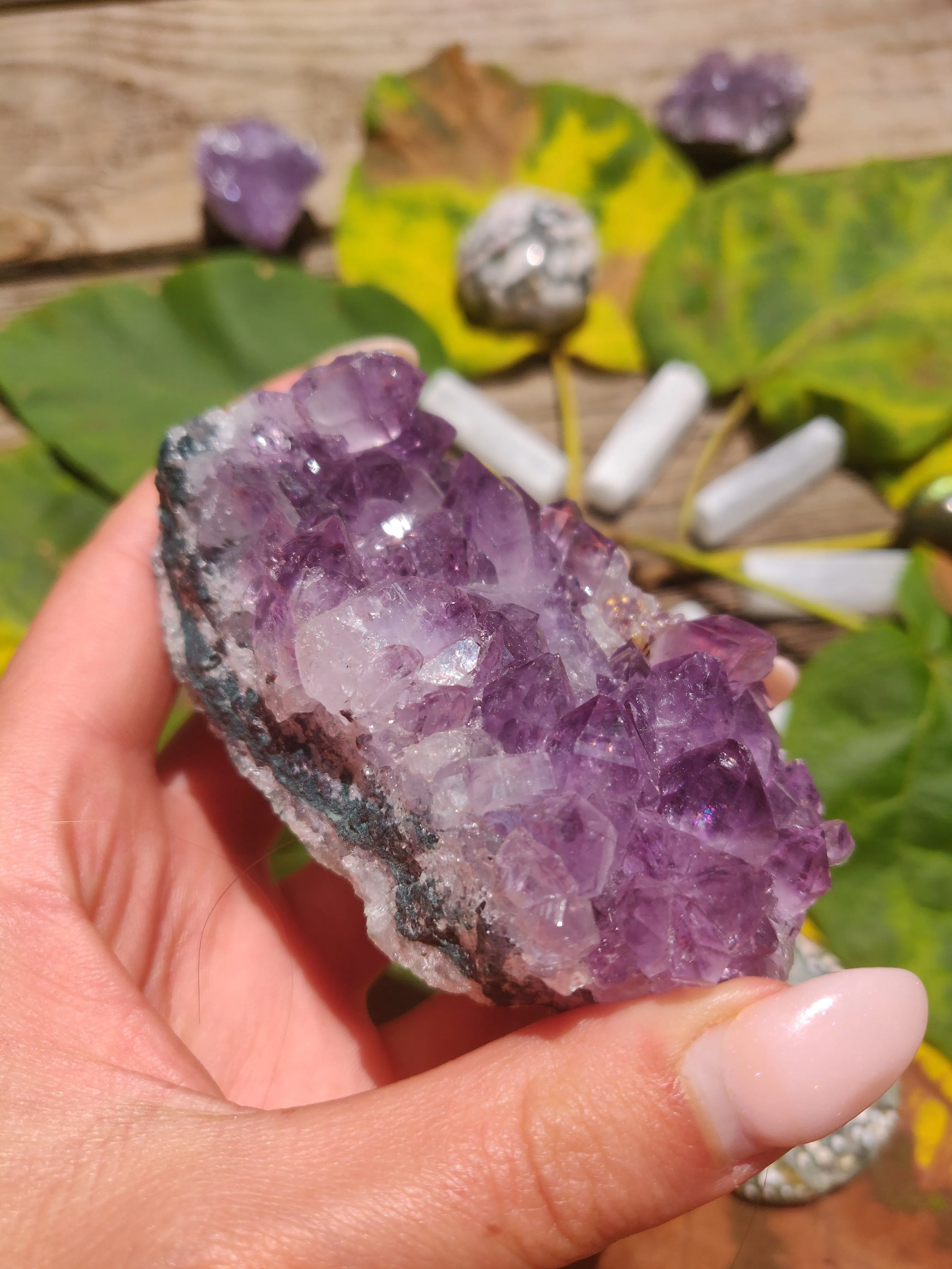 Amethyst Cluster (#1)