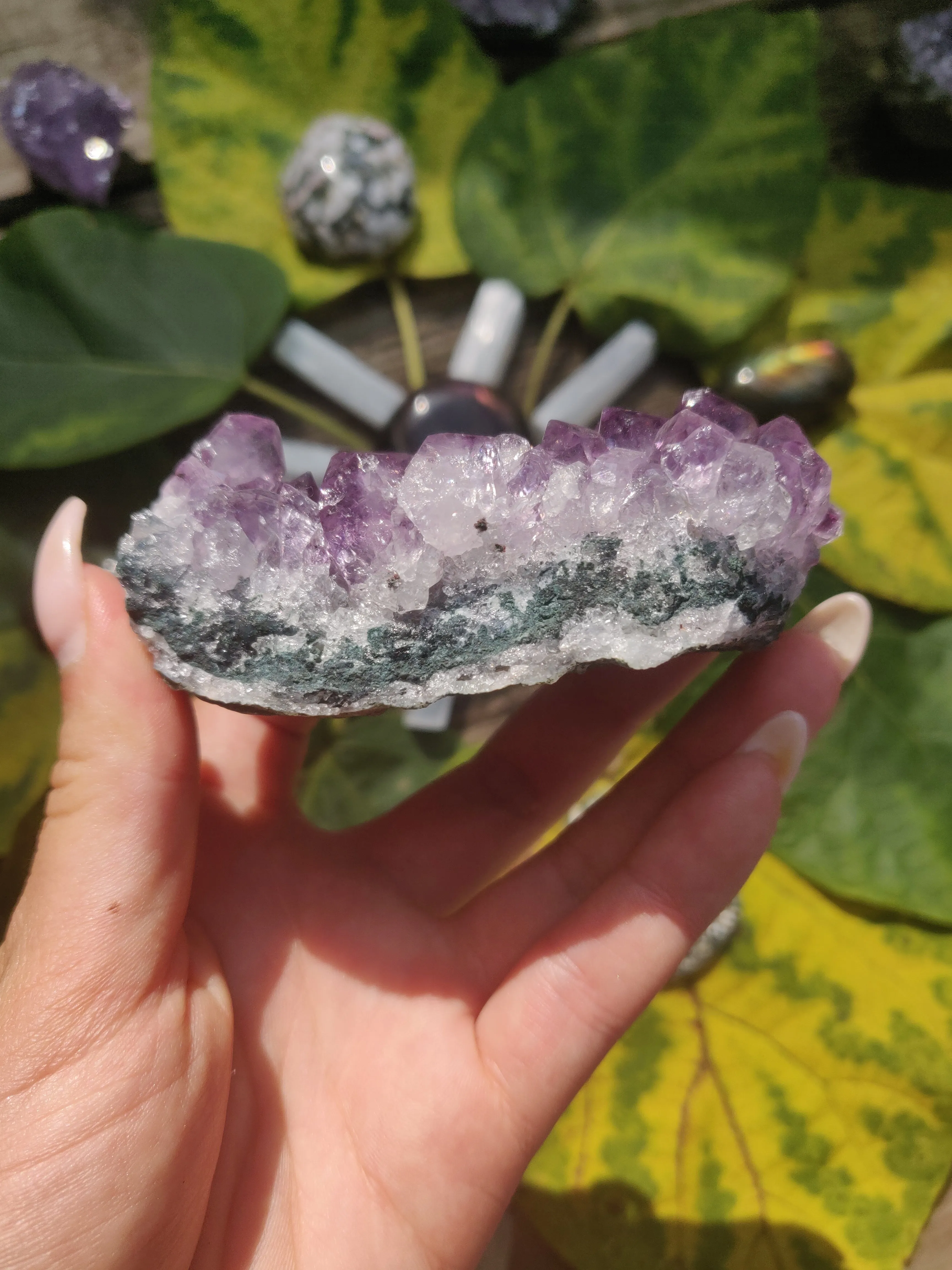 Amethyst Cluster (#1)