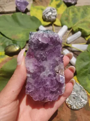 Amethyst Cluster (#1)
