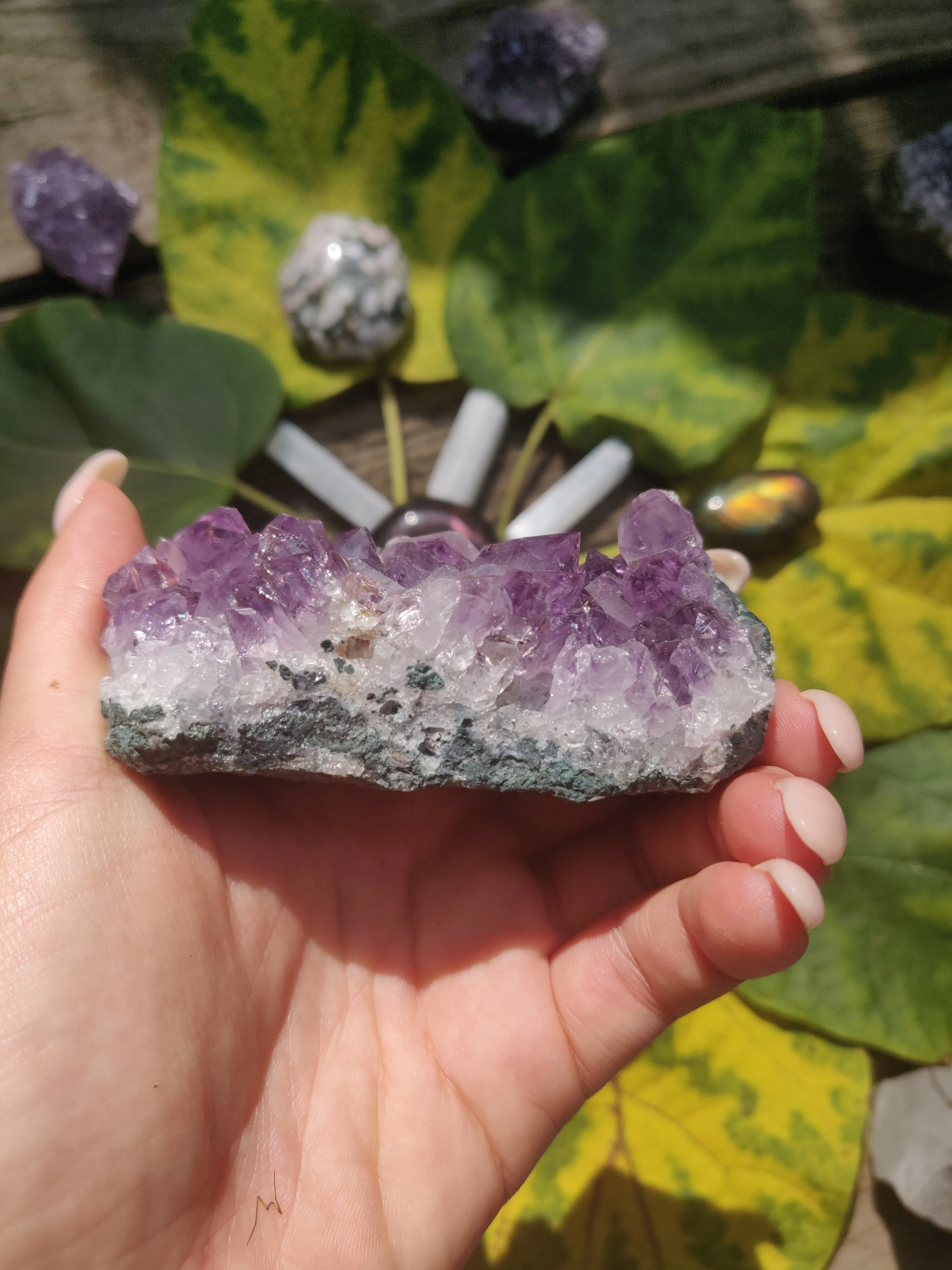 Amethyst Cluster (#1)