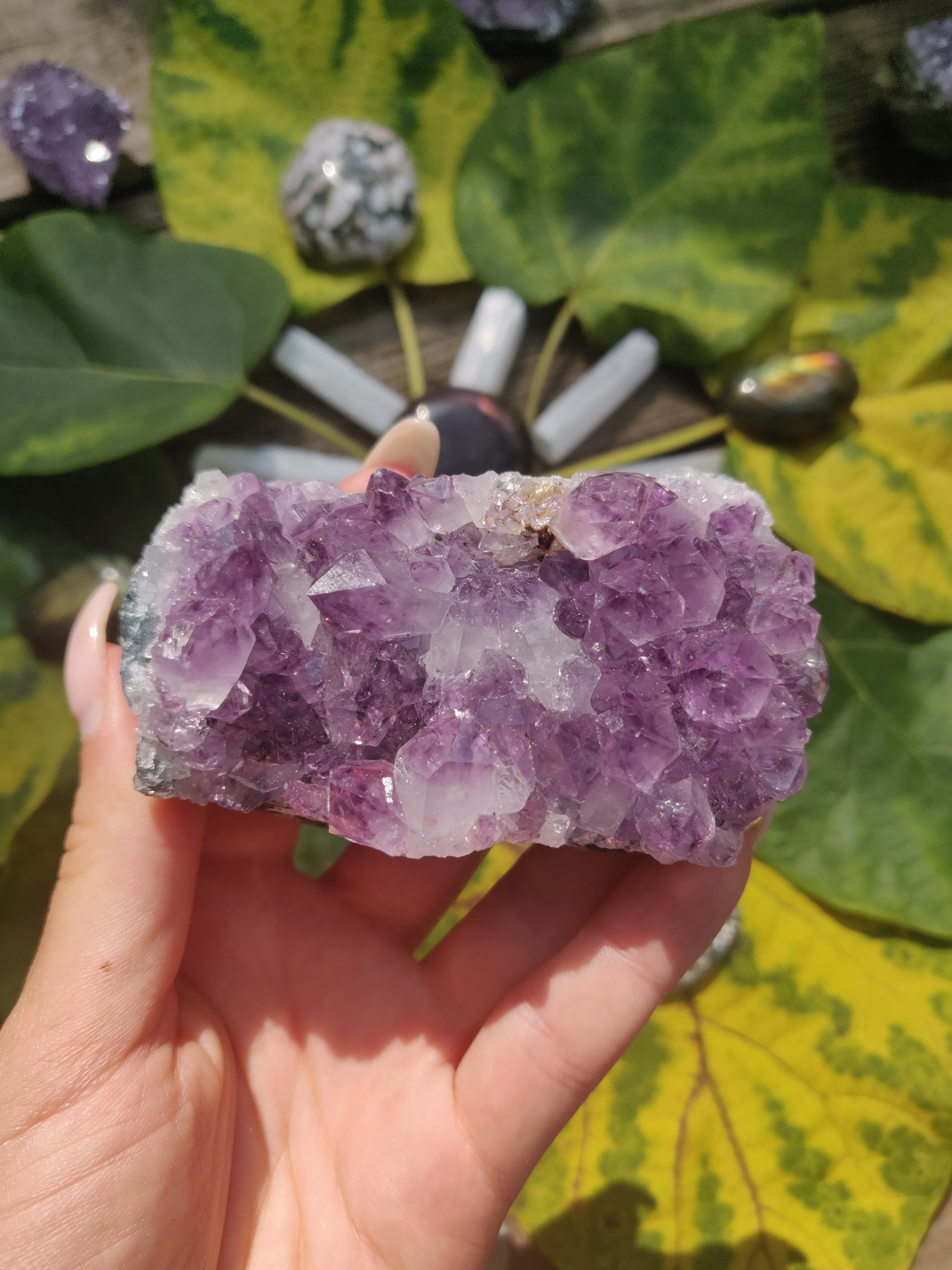 Amethyst Cluster (#1)