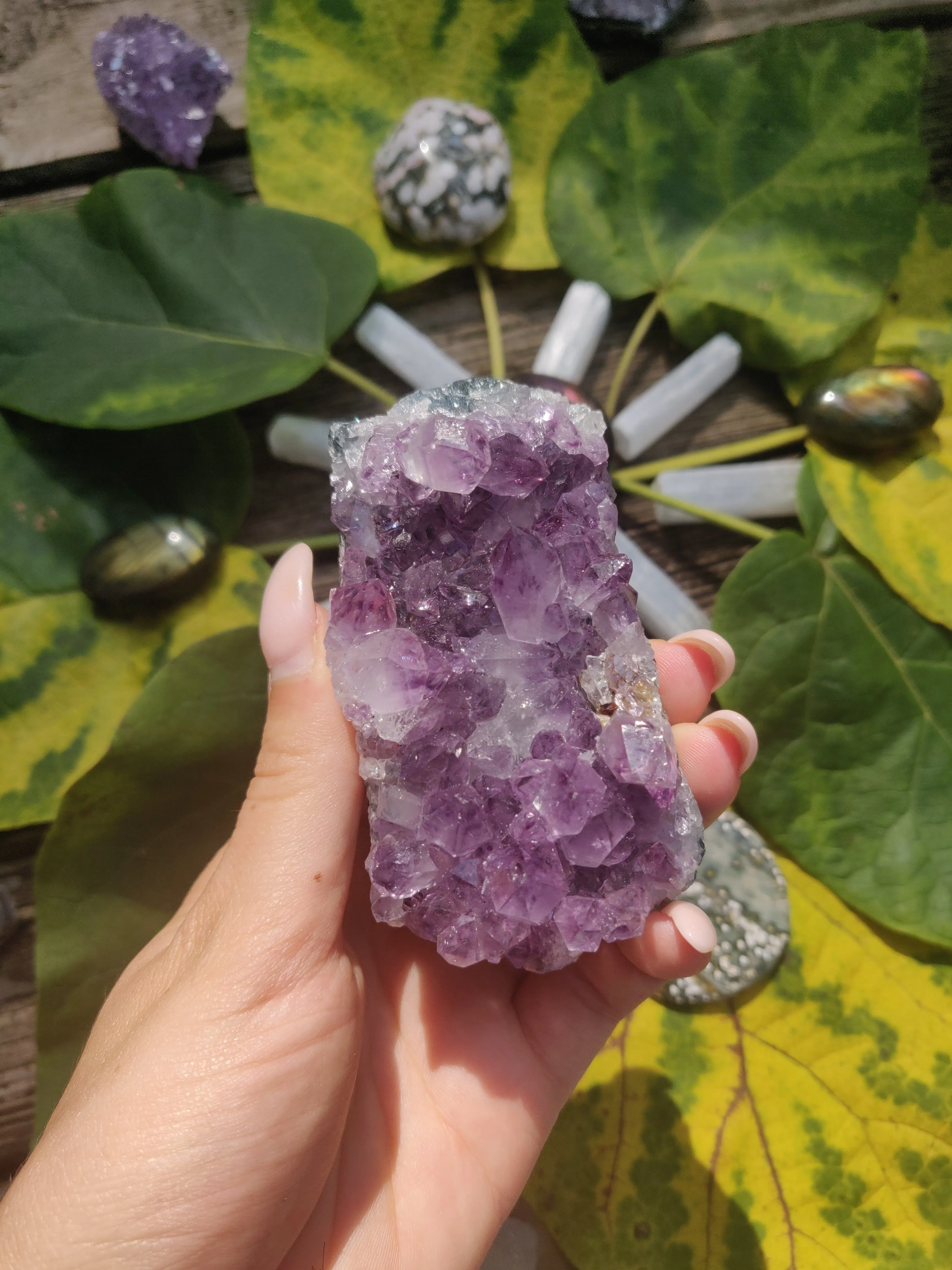 Amethyst Cluster (#1)