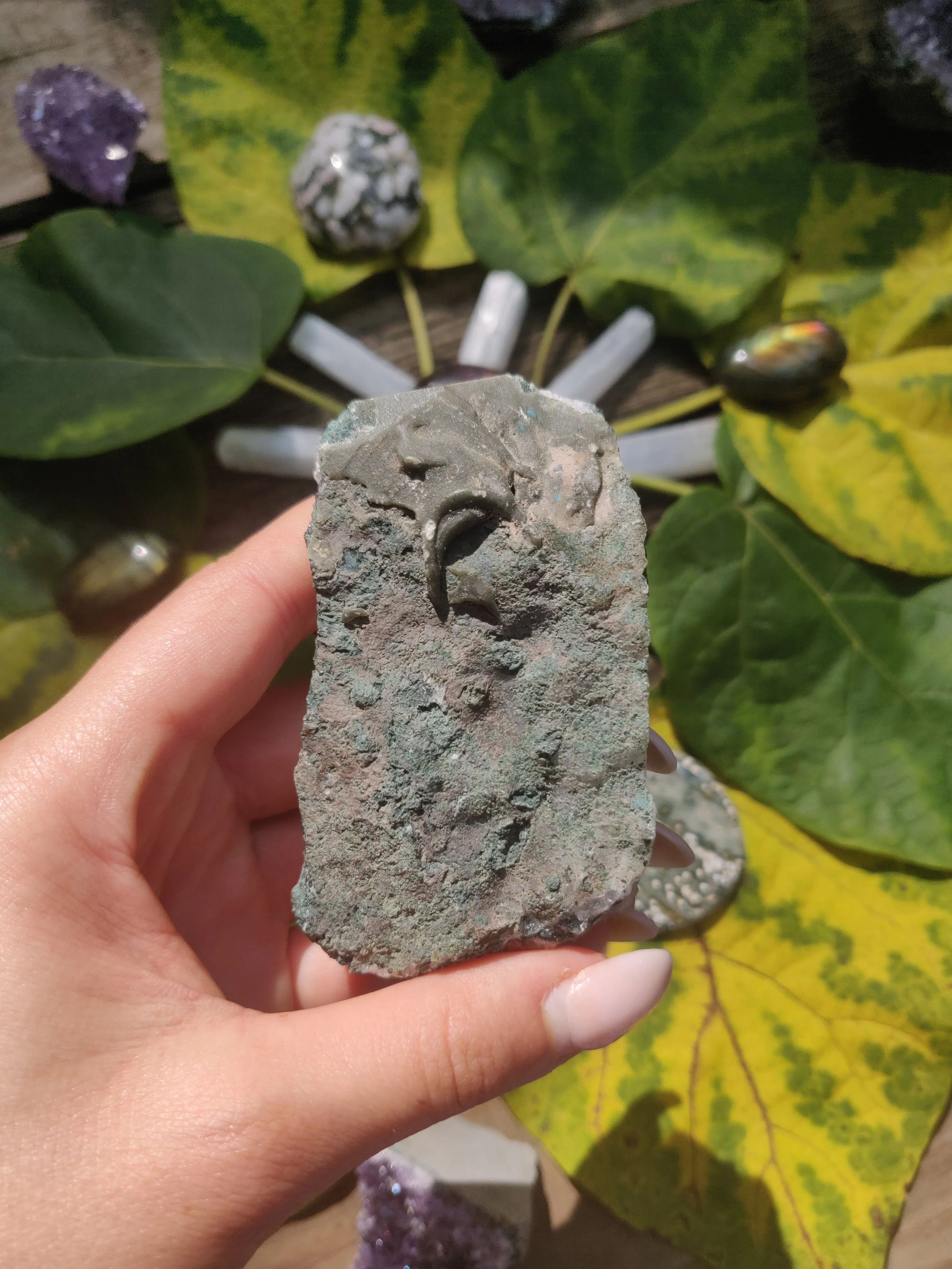Amethyst Cluster (#1)