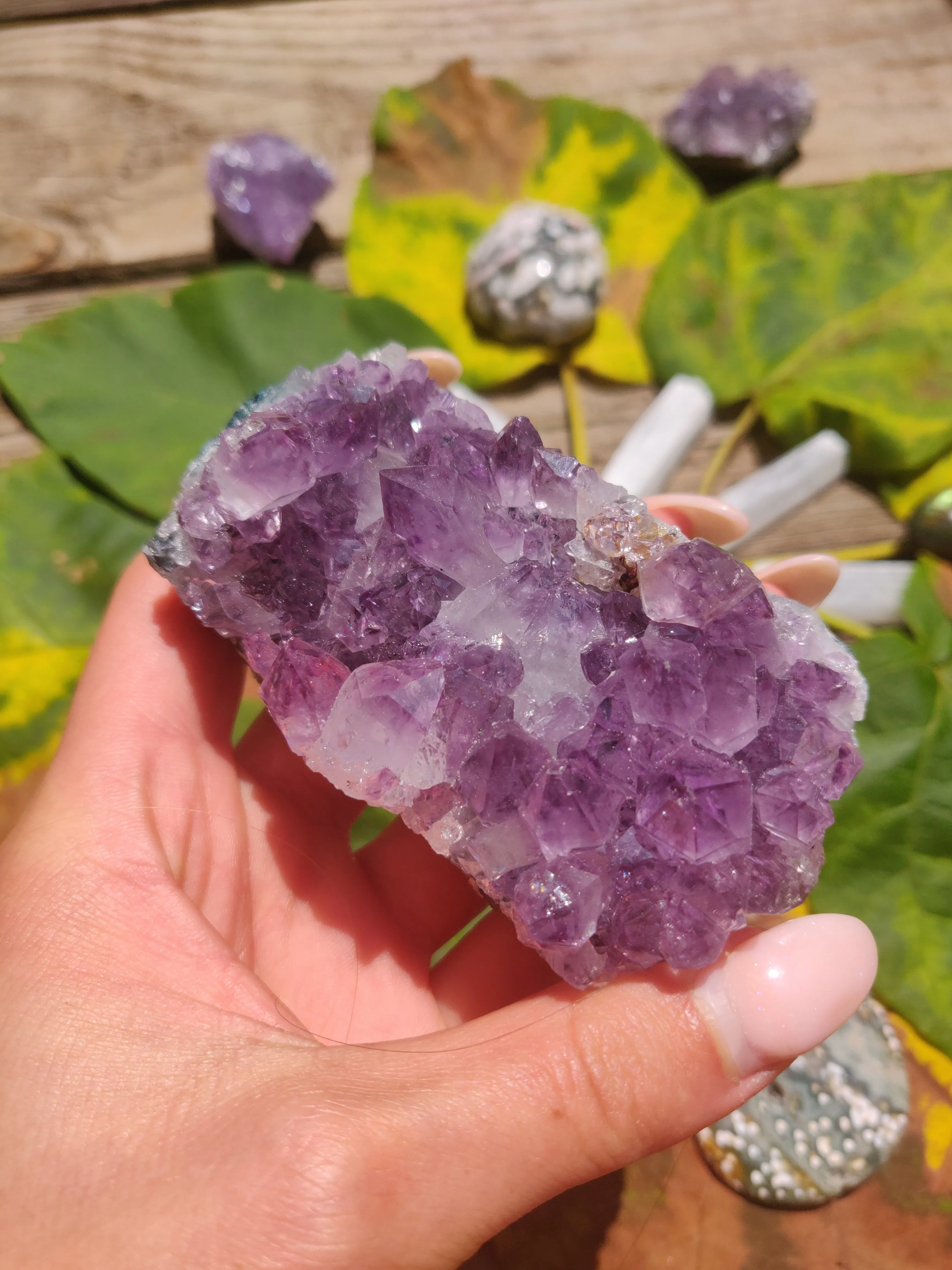 Amethyst Cluster (#1)