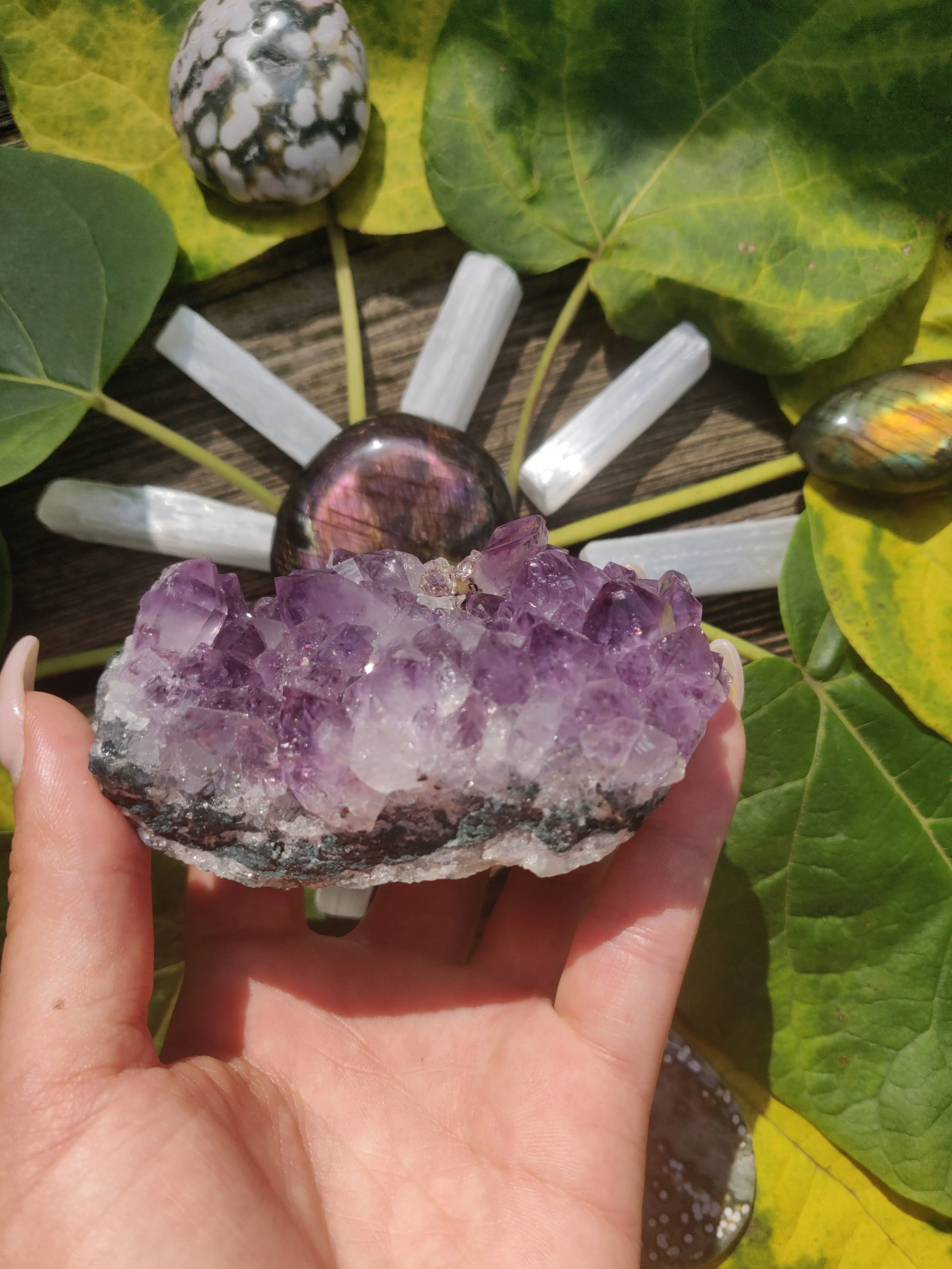 Amethyst Cluster (#1)