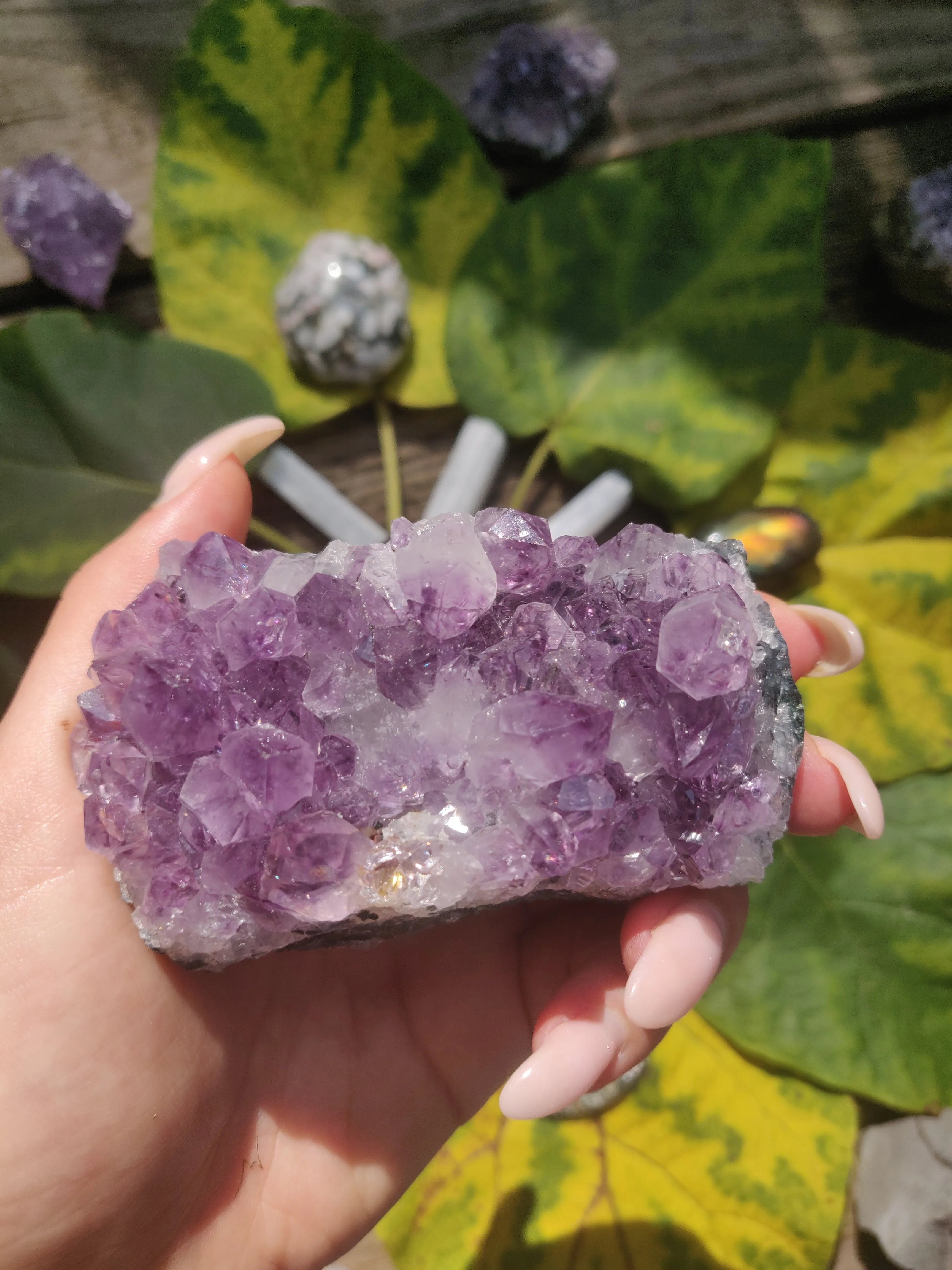 Amethyst Cluster (#1)