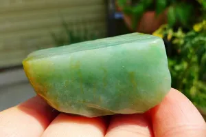 Natural Jade Rough Jadeite Raw (63g,3.9X3.6X2.3cm)