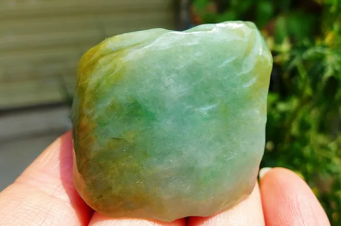 Natural Jade Rough Jadeite Raw (63g,3.9X3.6X2.3cm)