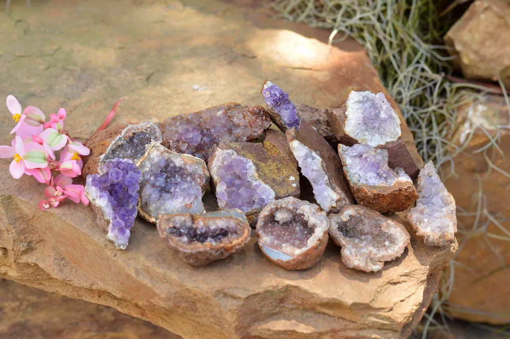 Natural Small Amethyst & Basalt Geode Specimens x 35 From Zululand, South Africa