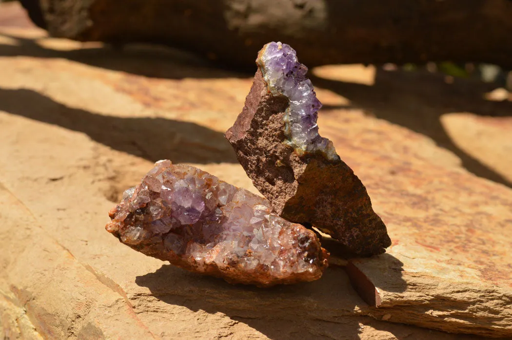 Natural Small Amethyst & Basalt Geode Specimens x 35 From Zululand, South Africa