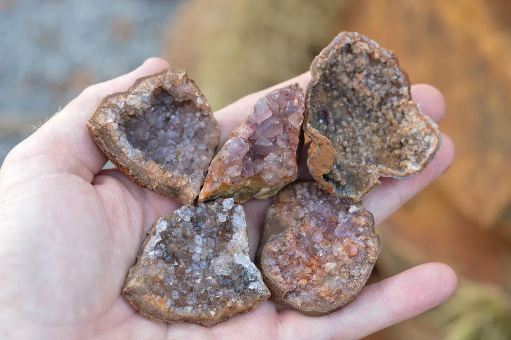 Natural Small Amethyst & Basalt Geode Specimens x 35 From Zululand, South Africa