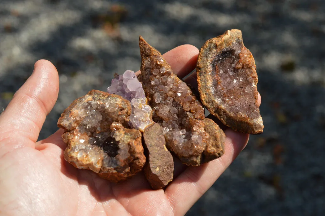 Natural Small Amethyst & Basalt Geode Specimens x 35 From Zululand, South Africa