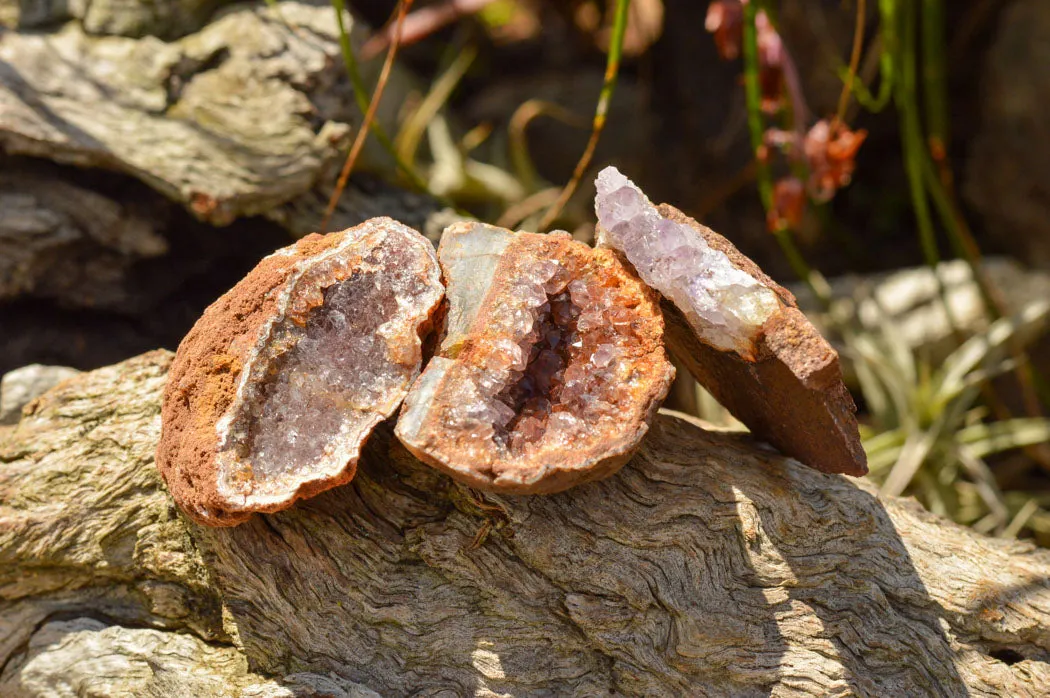 Natural Small Amethyst & Basalt Geode Specimens x 35 From Zululand, South Africa