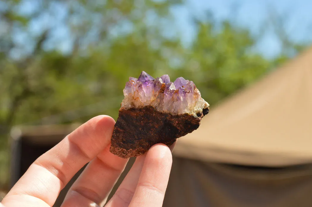 Natural Small Amethyst & Basalt Geode Specimens x 35 From Zululand, South Africa