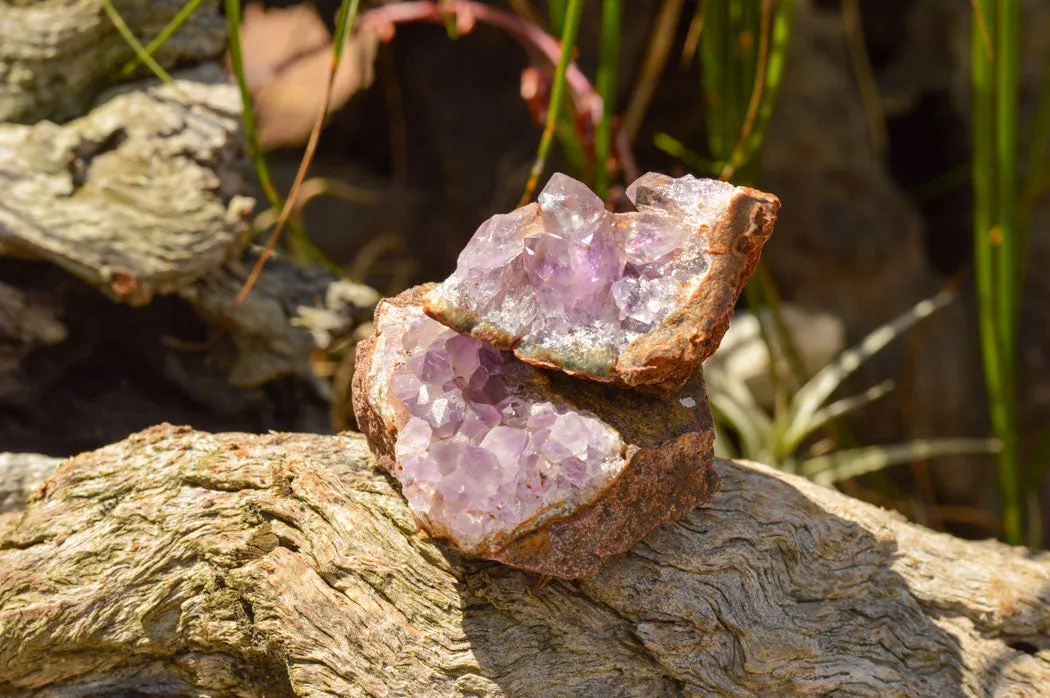 Natural Small Amethyst & Basalt Geode Specimens x 35 From Zululand, South Africa