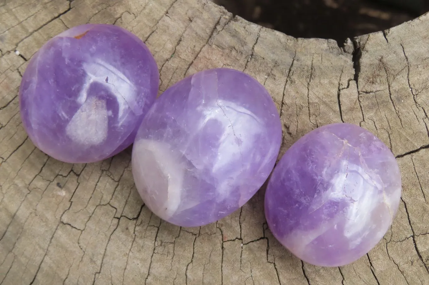Polished Chevron Amethyst Palm Stones x 12 From Madagascar